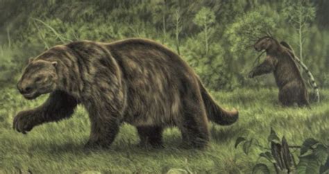 Megatherium: The Giant Sloth Said To Still Roam The .
